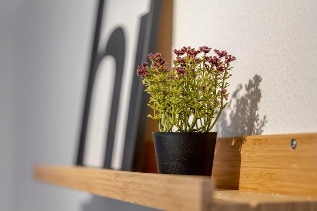 Apartment Himmlische Altstadt-maisonette *